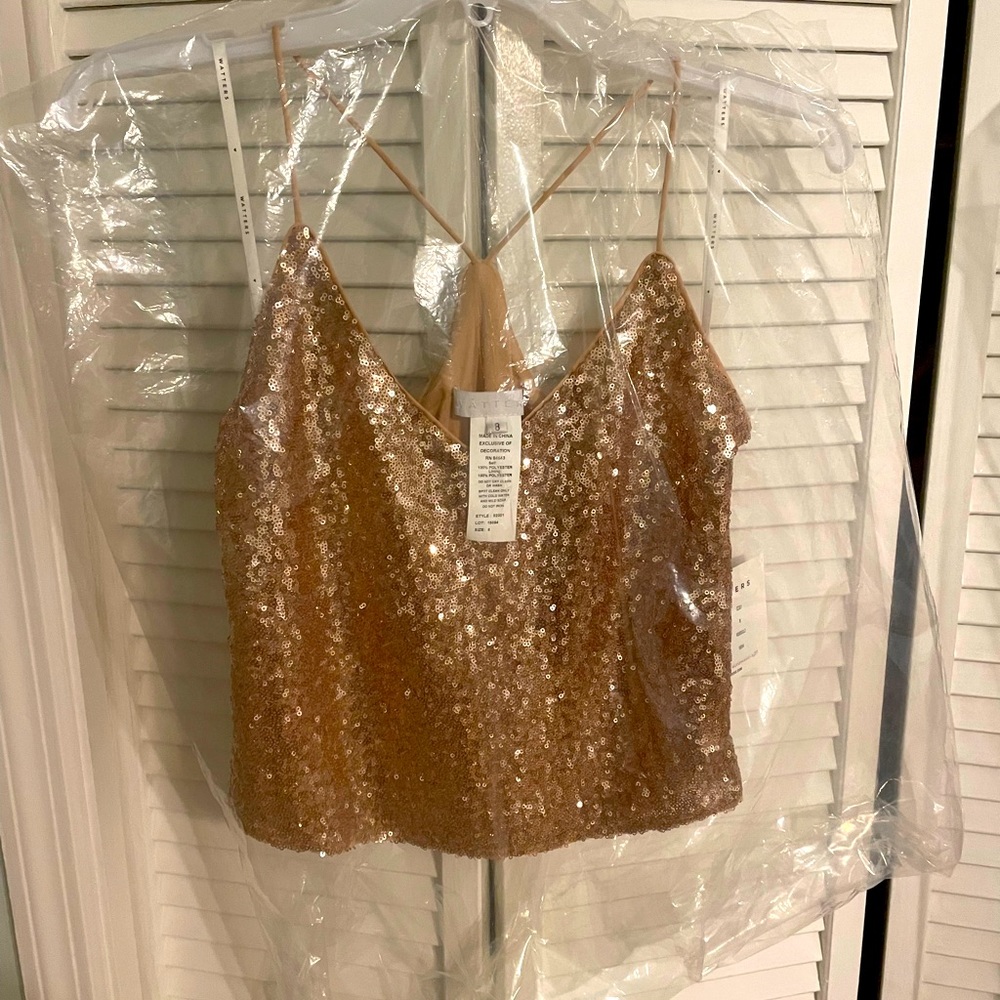 Watters Zoe Tank + Natasha skirt rose gold. Top sequin & skirt Chiffon.